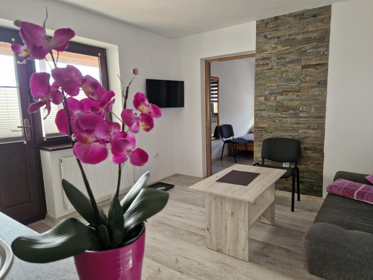 Apartamenty U Krystyny Klikuszowa 외부 사진